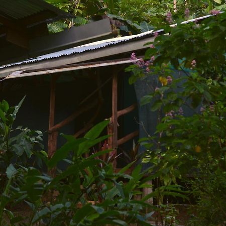 Hotel Corcovado Guide House Barrigones Exterior foto