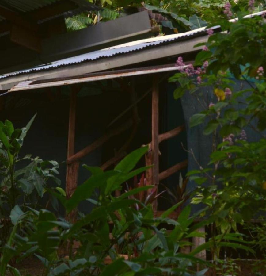 Hotel Corcovado Guide House Barrigones Exterior foto
